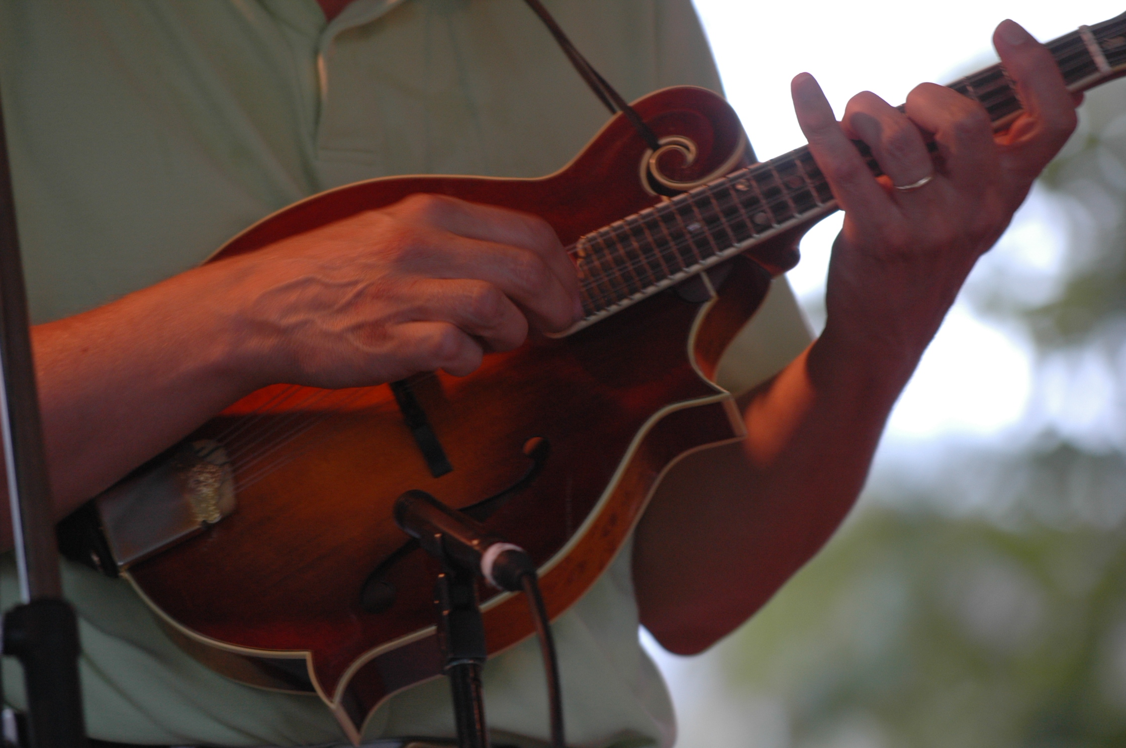 2006 Art and Bluegrass