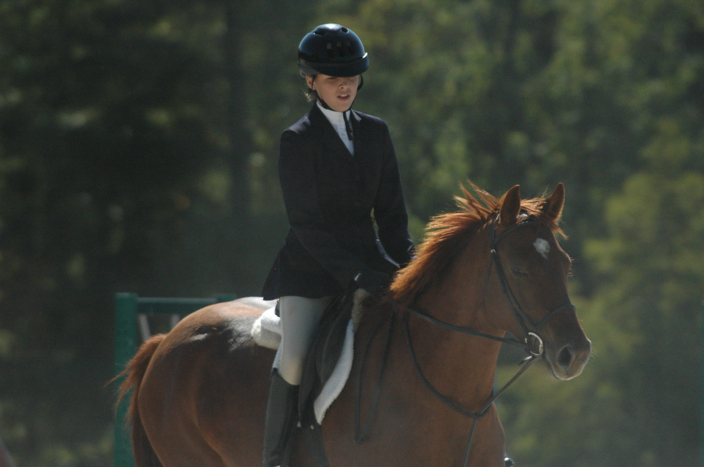 2006 Horse Show
