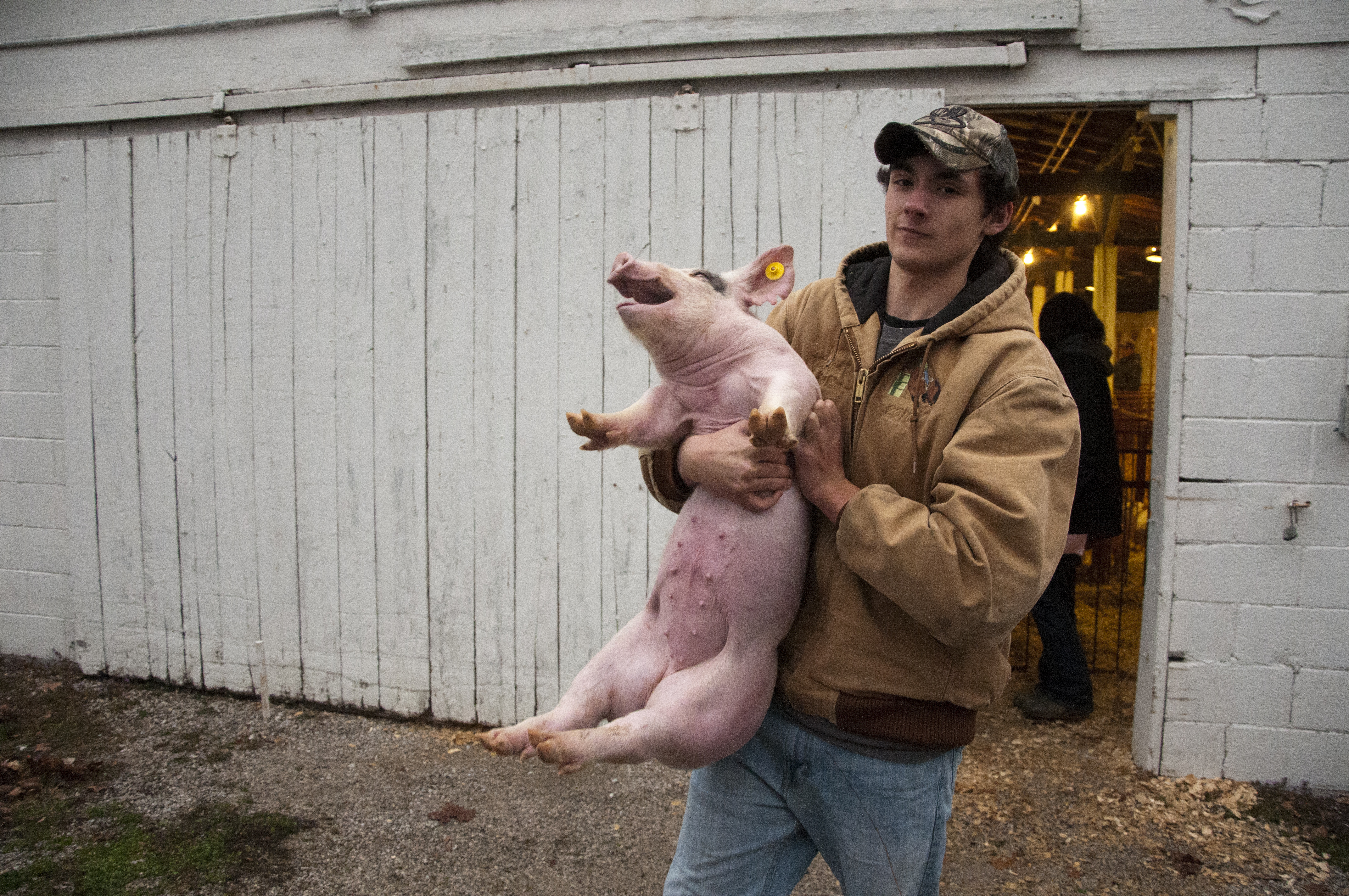 2014 Farm Animal Auction