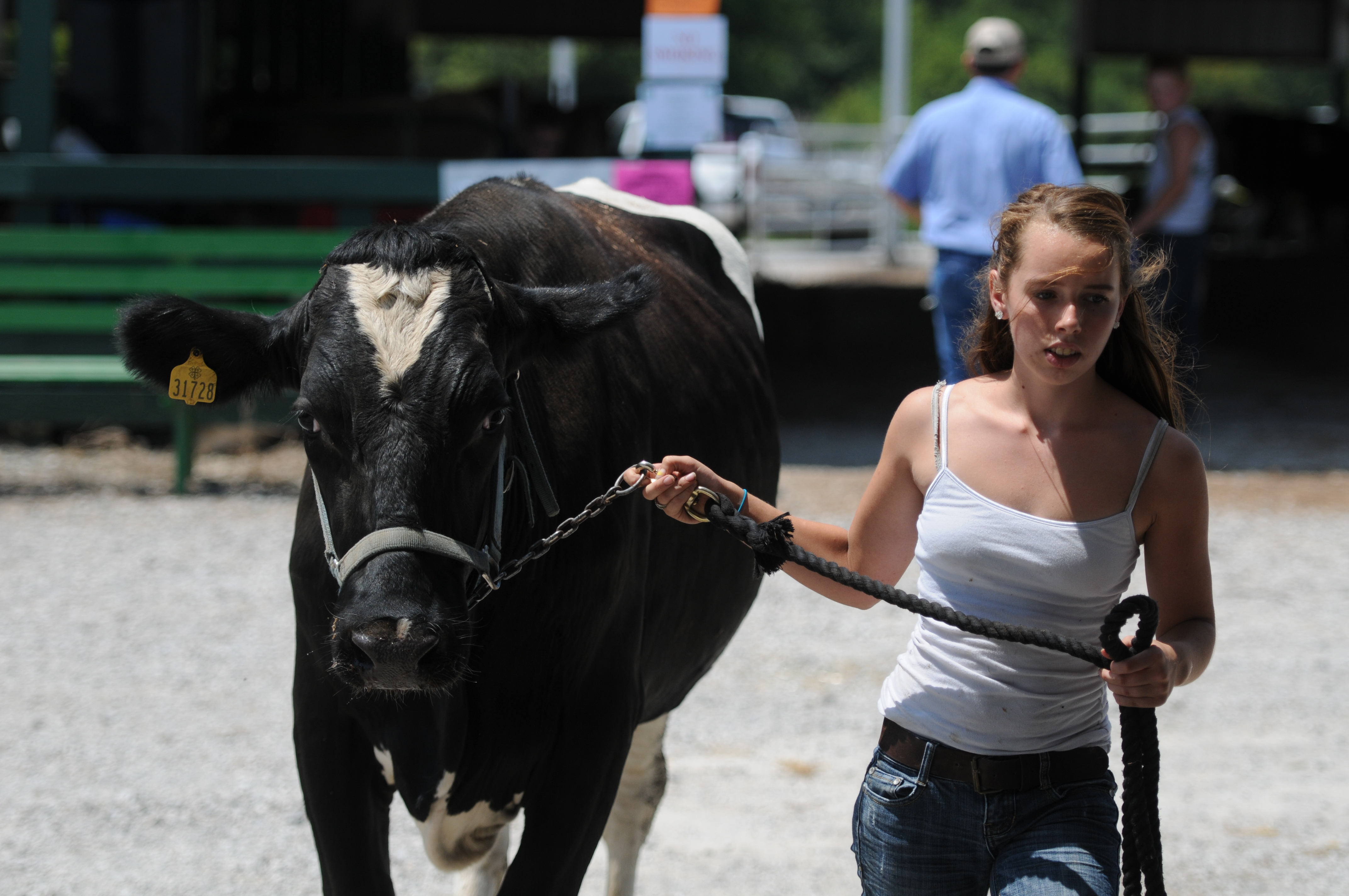 2012 Fair