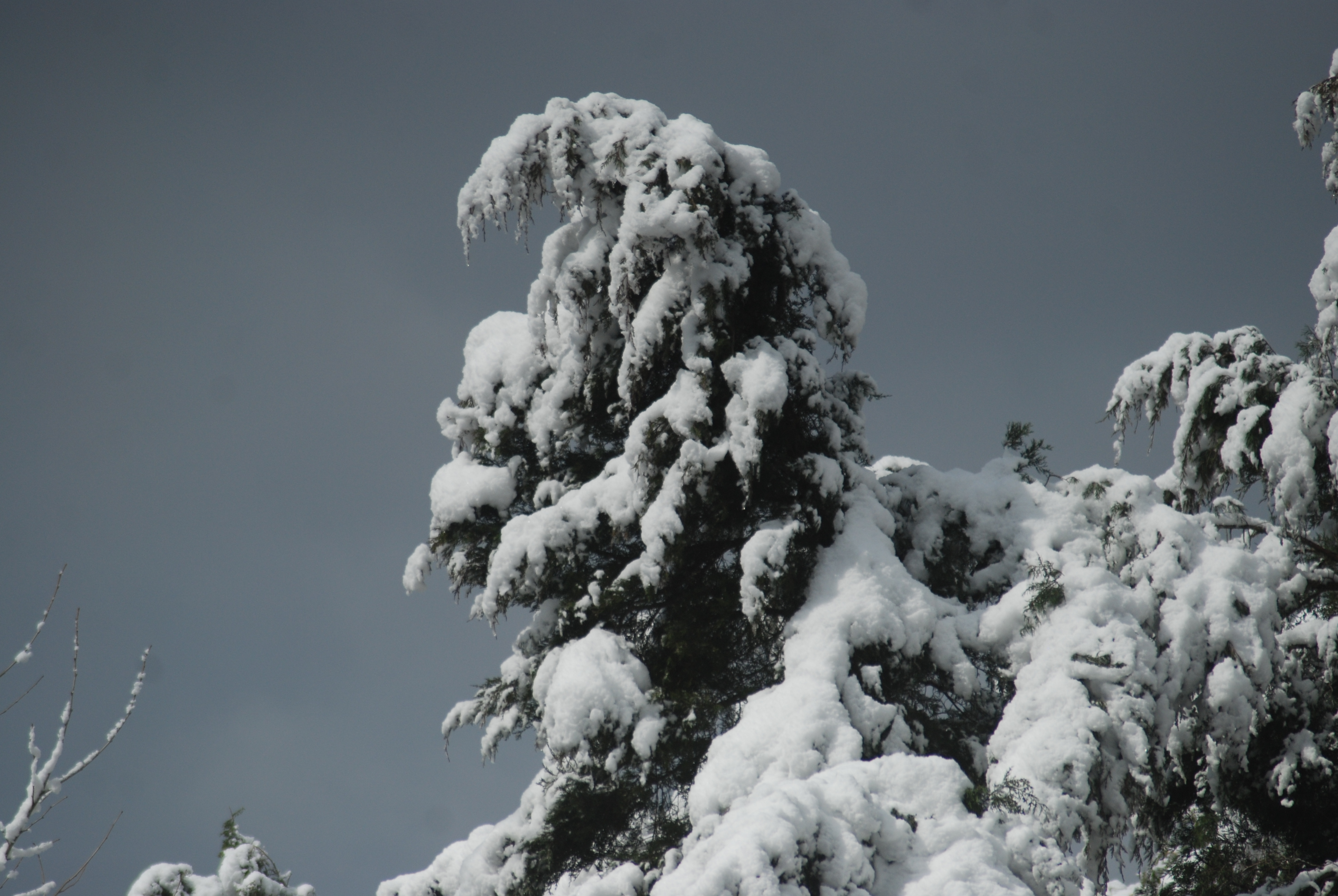 2012 Snow in March