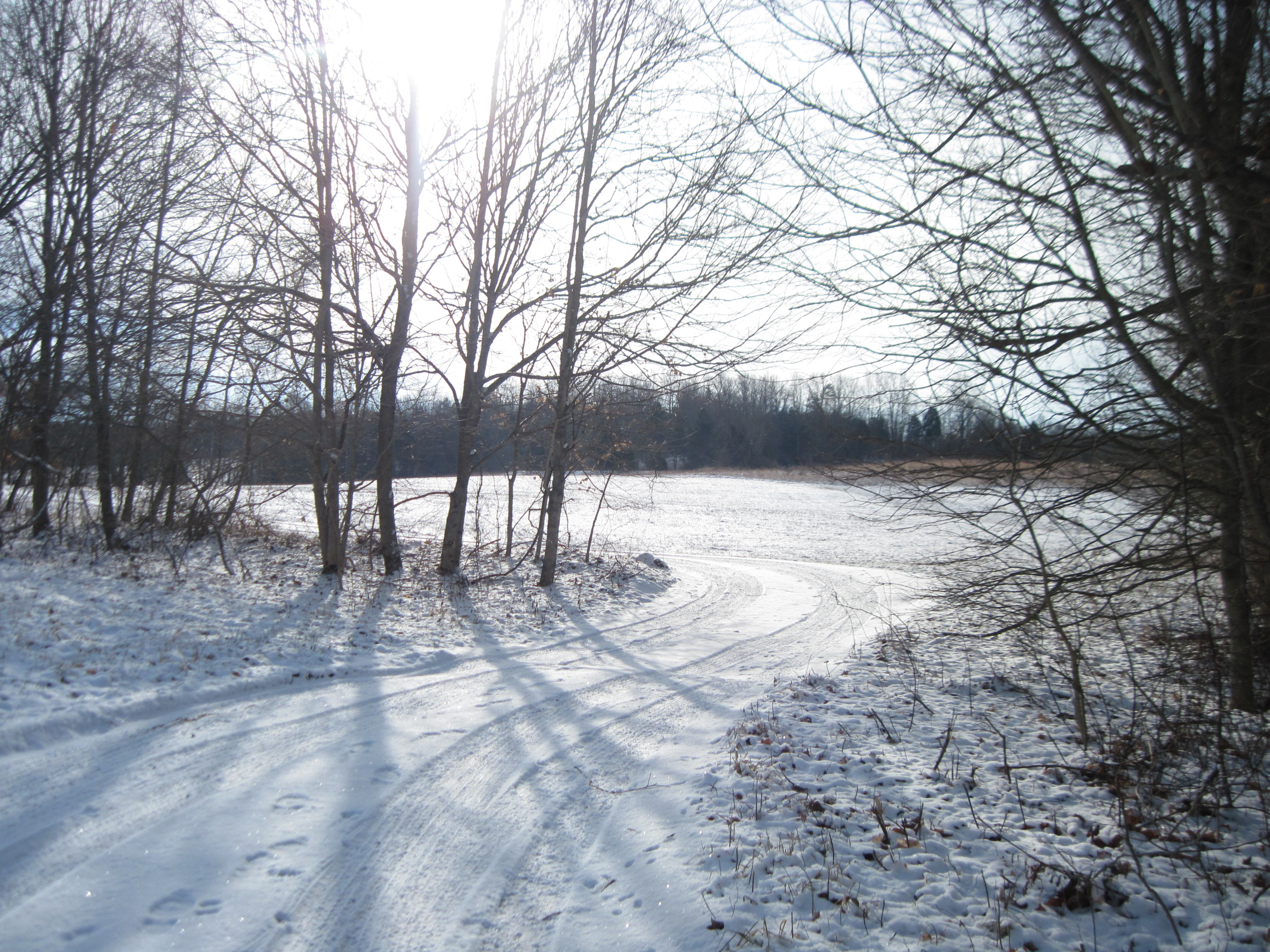 2014 Winter
