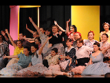2014 Bye Bye Birdie Play