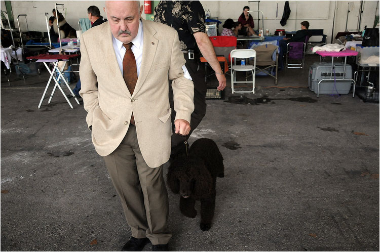 2013 Dog Show