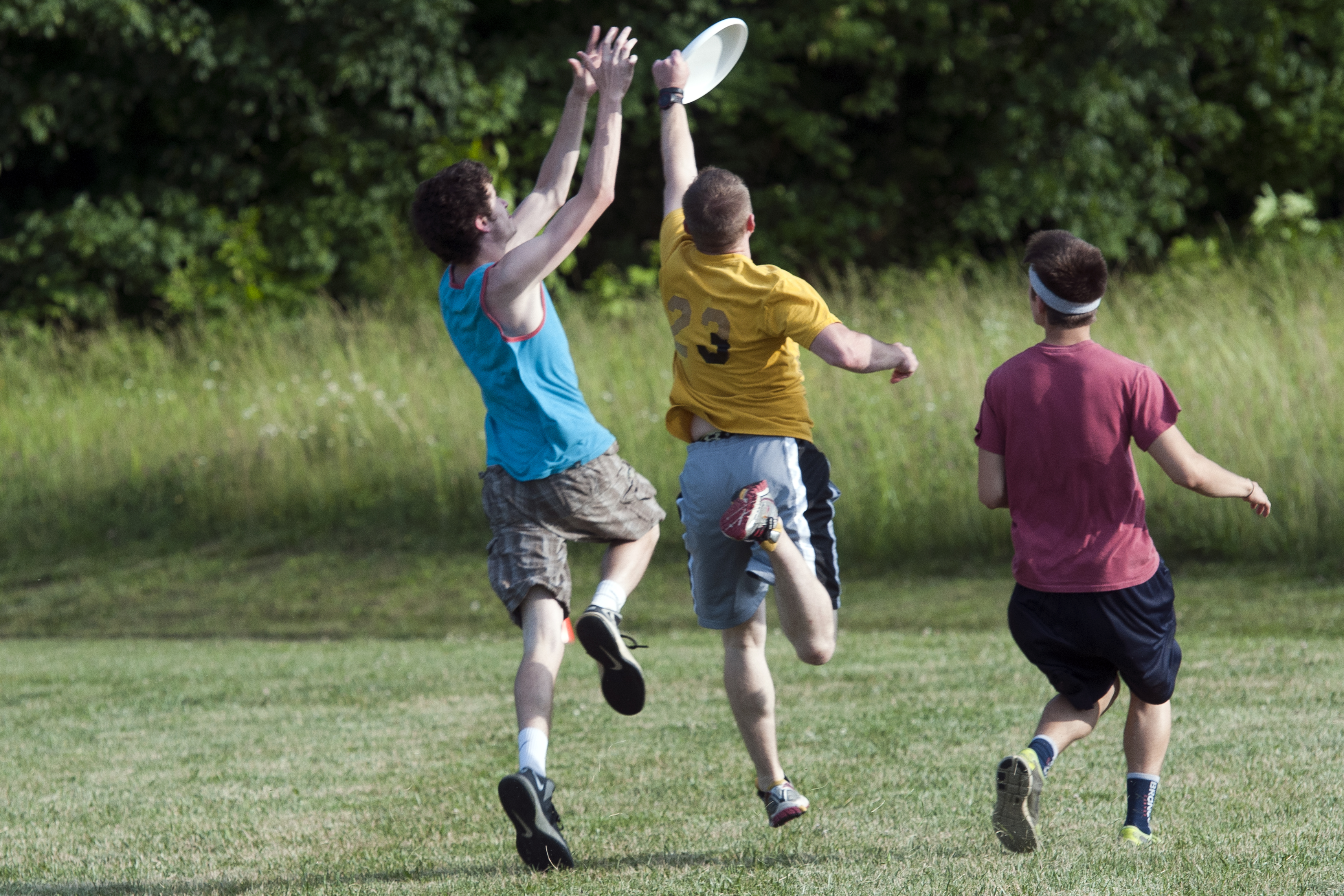 2015 Frisbee